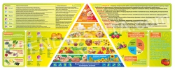 Стенд "Витамины и минералы.Пирамида правильного питания"