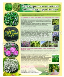 Стенд "Характеристика основних екологічних груп рослин"