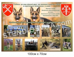 Стенд "Собака - це вірний друг"