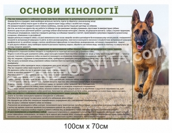 Стенд пластиковий "Основи кінології"