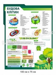 Стенд з пластику "Будова клітин"