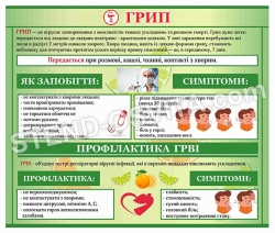 Стенд "Грип"