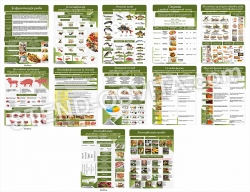 Повний комплект стендів для кухарів