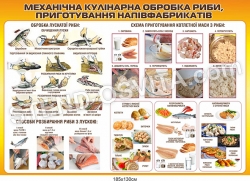 Стенд «Механічна кулінарна обробка риби»