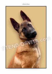 Табличка на двір 