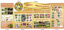 Комплект стендів з вирощування квітів «Квіти - окраса землі»